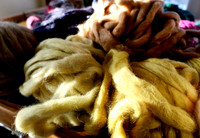 090103_ET_ABO_WOOL_1