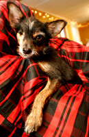 091125_ET_ABO_TIKI
