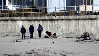 121114_GT_ABO_BEACHES_8