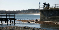 121114_GT_ABO_BEACHES_5