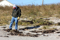 121114_GT_ABO_BEACHES_1