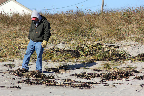 121114_GT_ABO_BEACHES_1