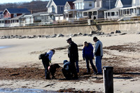 121114_GT_ABO_BEACHES_6