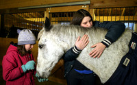 090114_ET_ABO_HORSERESCUE_3