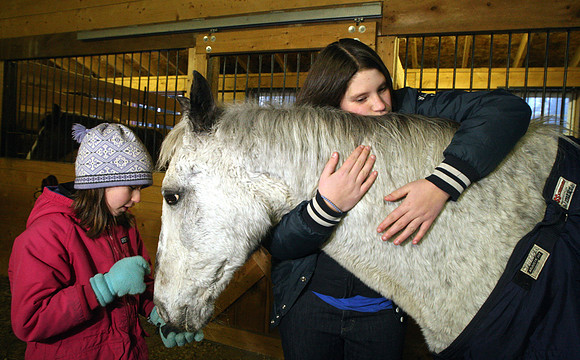 090114_ET_ABO_HORSERESCUE_3