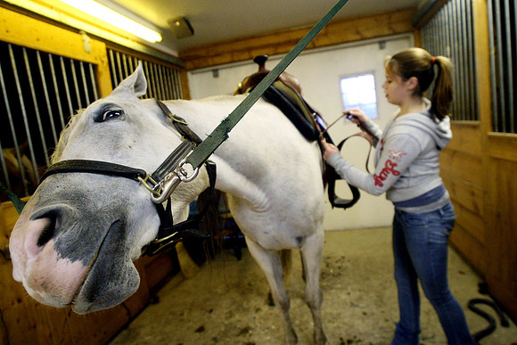 101006_ET_ABO_HORSE_2