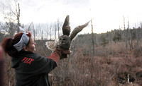 121205_GT_ABO_OWL_3