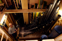 111107_CA_ABO_ORGAN_6