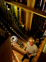111107_CA_ABO_ORGAN_7