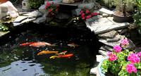 130522_CAM_ABO_JUNEGARDEN_1