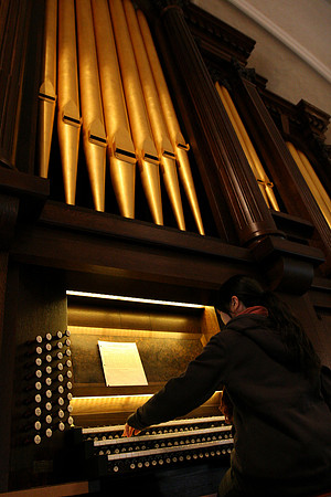 111107_CA_ABO_ORGAN_13