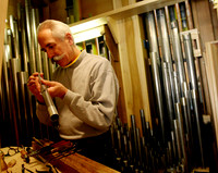 111107_CA_ABO_ORGAN_9