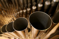 111107_CA_ABO_ORGAN_11