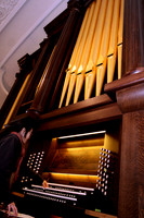 111107_CA_ABO_ORGAN_15