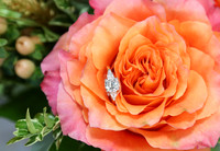 Katie + Stephen proposal - November 2023