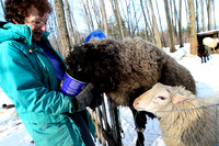 090103_ET_ABO_WOOL_14