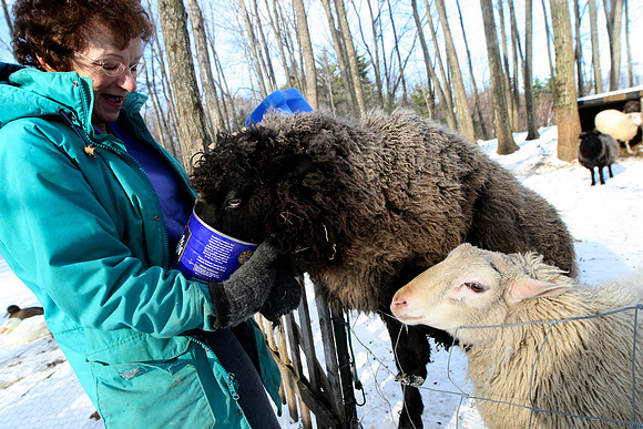 090103_ET_ABO_WOOL_14
